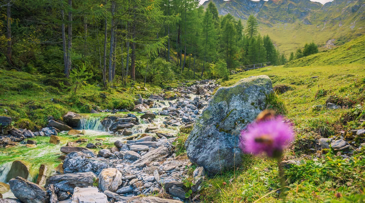 Berge mit Bach © pixabay